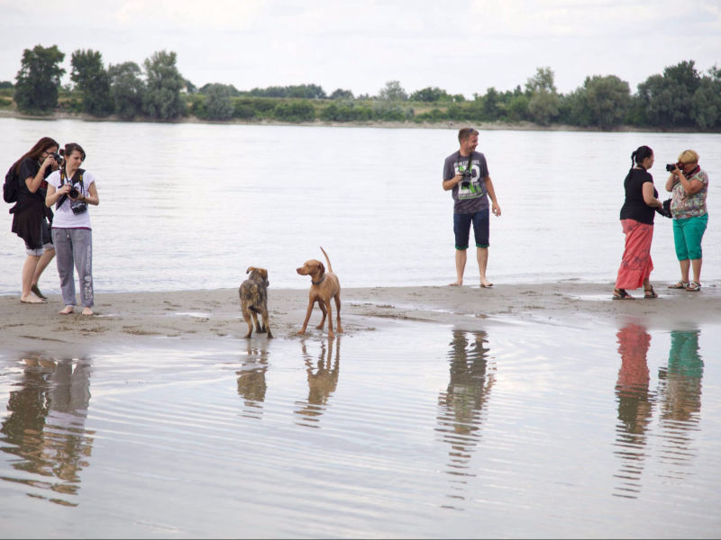 Terenski kurs i rad na plaži na Dunavu 2014